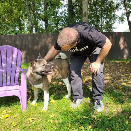 Midwest Akita Rescue Society (MARS) - Serving the Illinois, Indiana