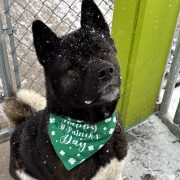 Edgar