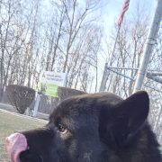 Edgar