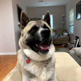 KUMA