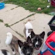 Stanley, Blue & Kirby