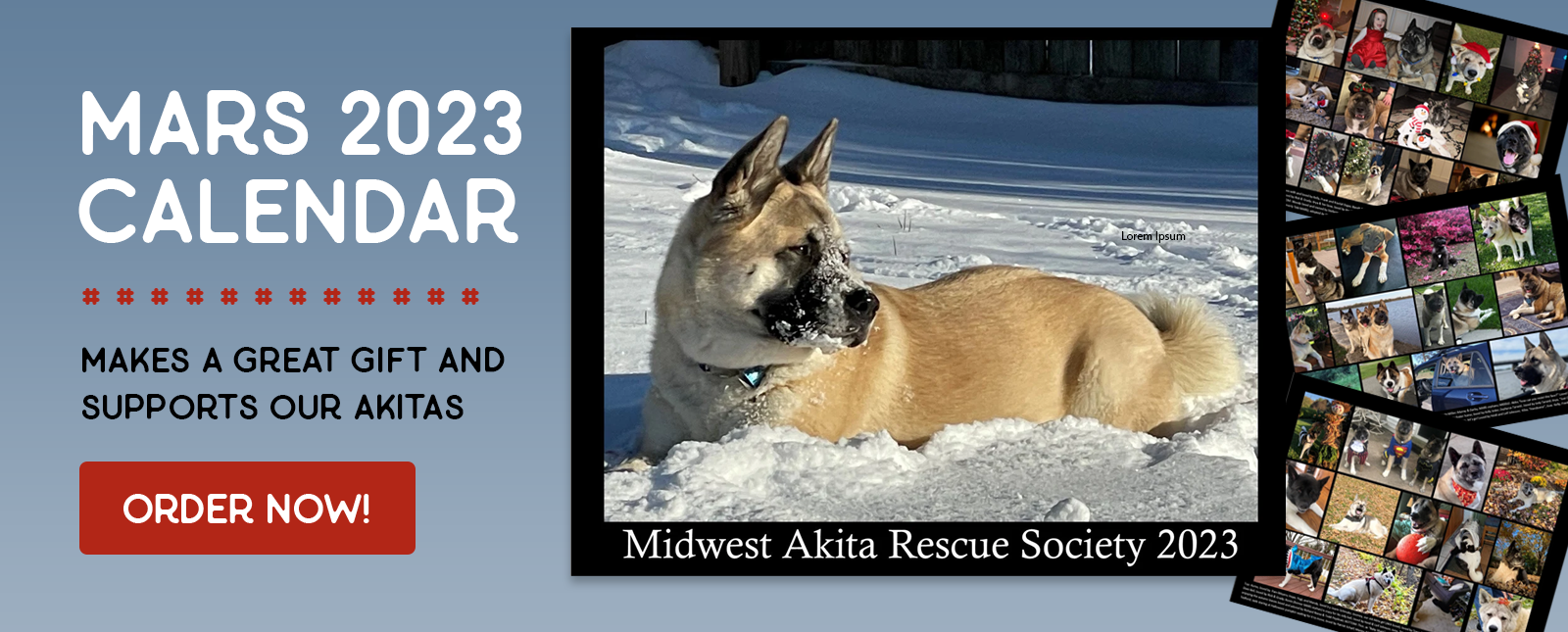 Midwest Akita Rescue Society (MARS) - Serving the Illinois, Indiana,  Wisconsin, Michigan, Ohio, Iowa, Missouri and Minnesota Areas